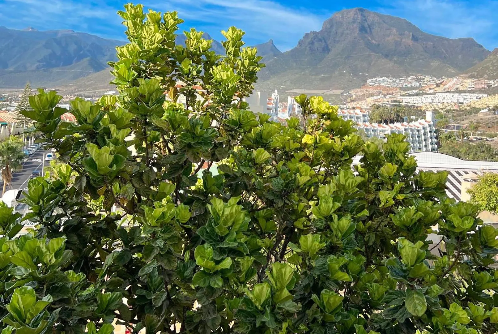 Tenerife Paradise Anna Studio Costa Adeje  Apartment